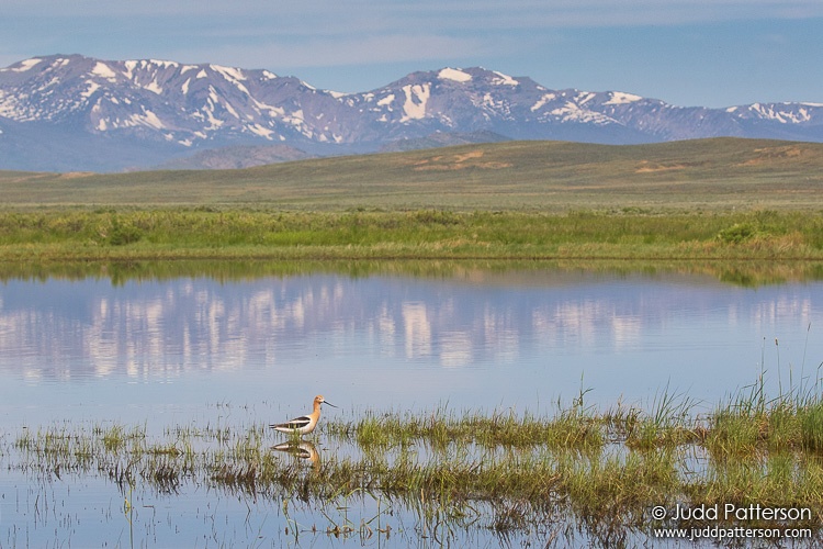 , Arapaho National Wildlife Refuge, Colorado, United States