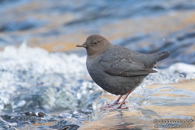 , Colorado, United States