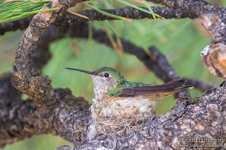 , Colorado, United States