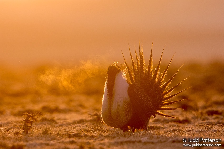 , Colorado, United States