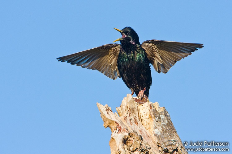 , Everglades National Park, Florida, United States
