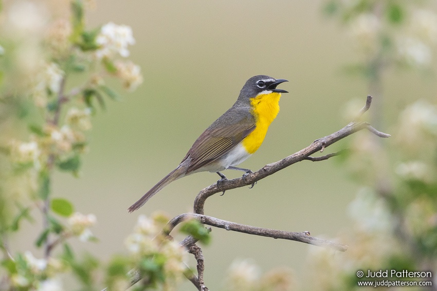 , Lory State Park, Larimer County, Colorado, United States