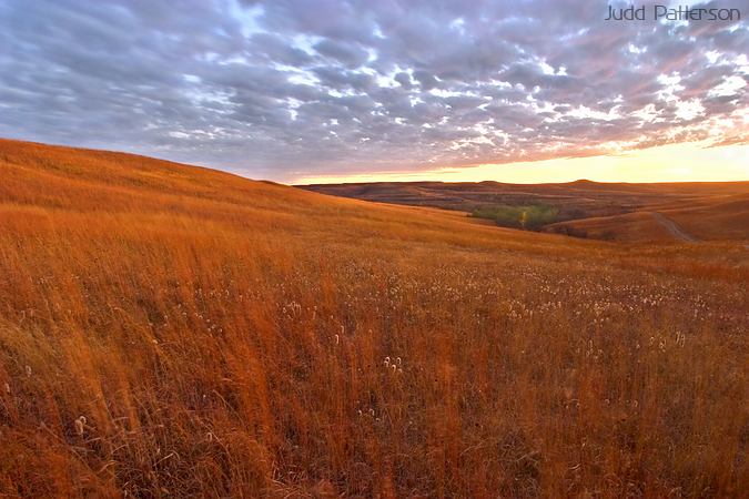 Prairie at Dusk, Konza Prairie, Kansas, United States