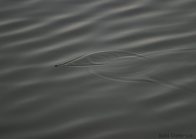 Water Texture, Lakewood Park, Kansas, United States