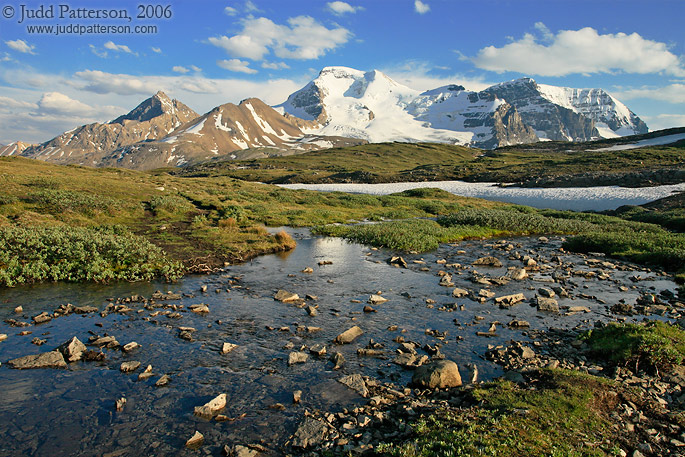 The Tundra Revealed, Jasper National Park, Alberta, Canada